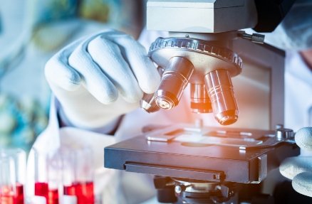 Research & Production